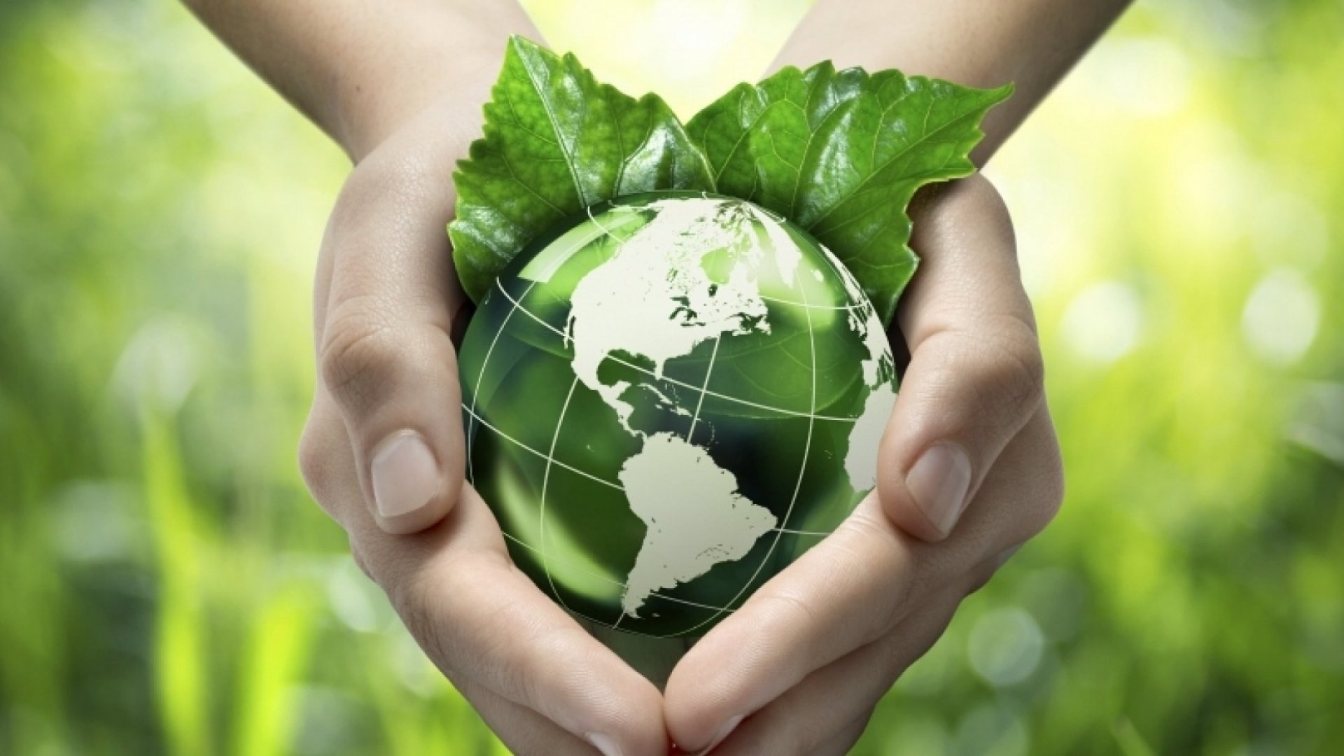 Regenerative Capitalism for a Sustainable City