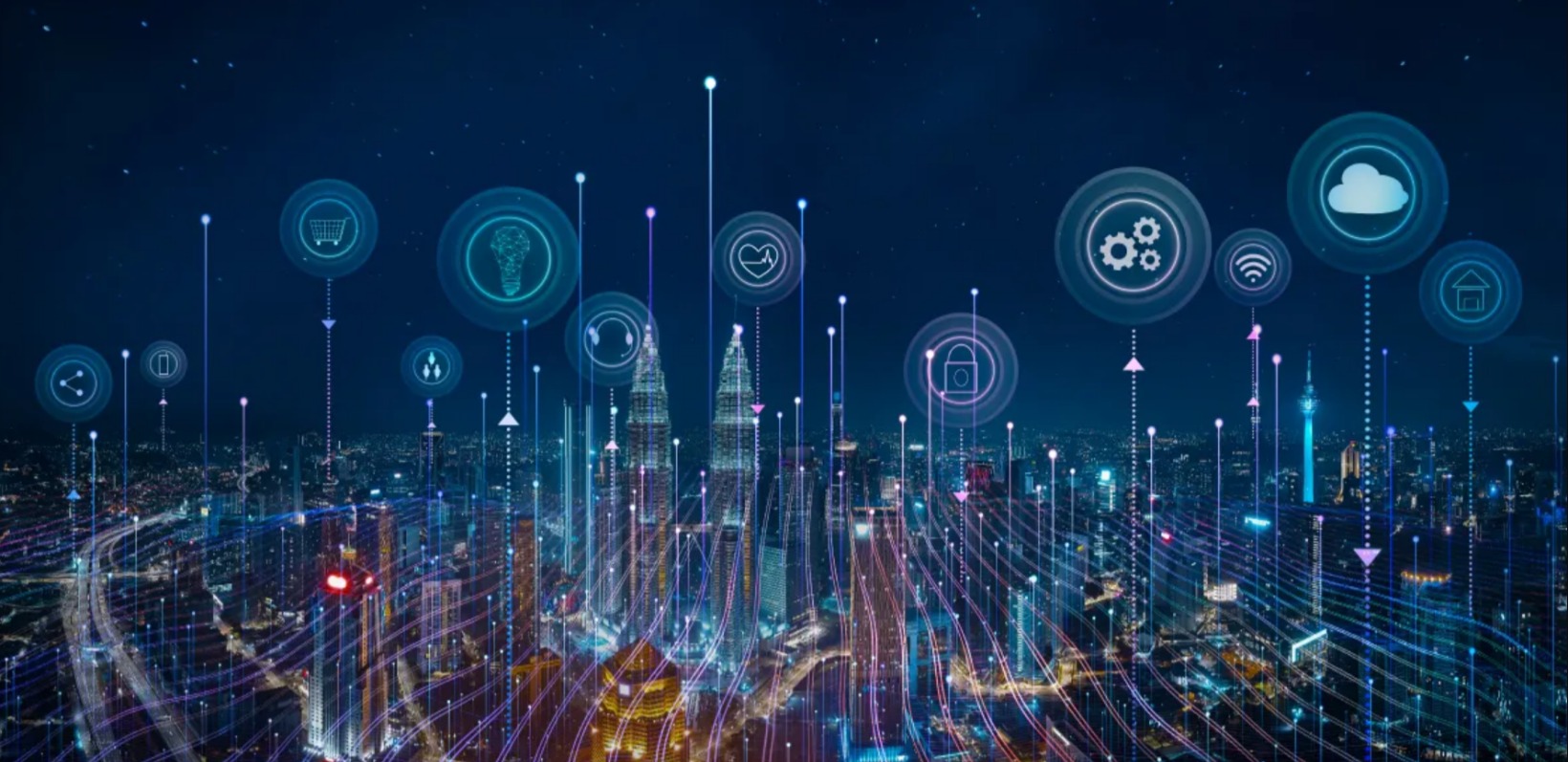 The Potential of Digital Public Infrastructure