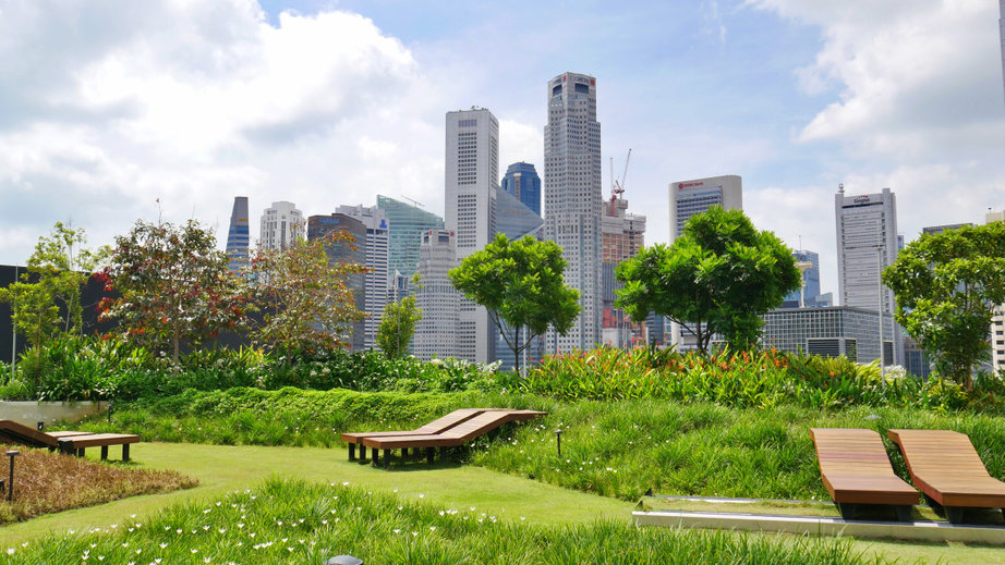 Uniting the city and Biodiversity